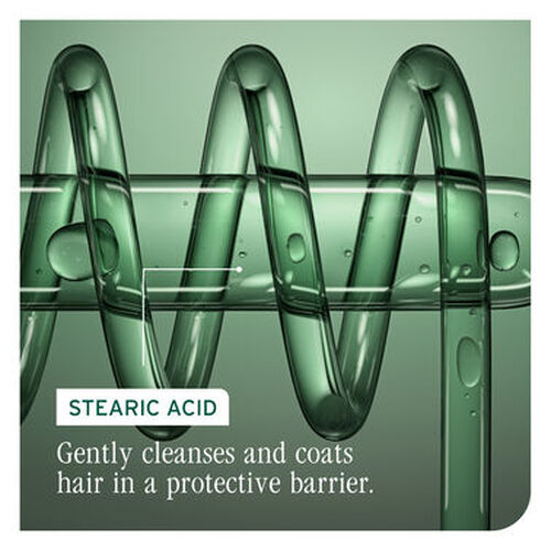 Color Last Conditioner - Biolage Renovation NZ | L'Or&eacute;al Partner Shop